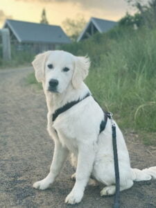 Top fokker van onze Moos!